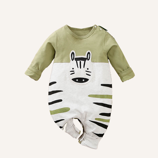 Enterito Zebra sobre fondo crema